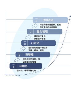 IBM數(shù)據(jù)治理成熟度評估模型 驅(qū)動(dòng)企業(yè)數(shù)據(jù)價(jià)值實(shí)現(xiàn)的關(guān)鍵框架