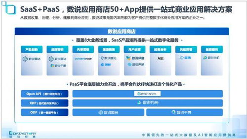 科學家創業 幫寶潔、伊利們用數據說故事的數據處理服務
