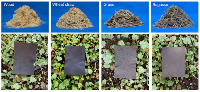 繼"木頭玻璃"之后再創(chuàng)突破!胡良兵創(chuàng)新性合成"木頭塑料",三個(gè)月即可完