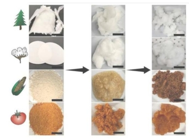 賓夕法尼亞州立大學(xué)利用生物基材料回收稀土元素
