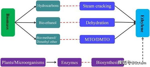 prog. poly. sci.綜述 生物基高分子材料 結合化學合成與材料加工