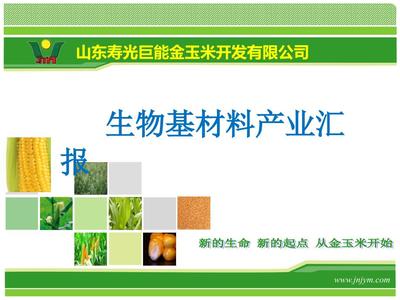 生物基材料產業(yè)匯報參考