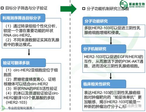 基迪奧客戶再發(fā)環(huán)狀rna翻譯高分文章