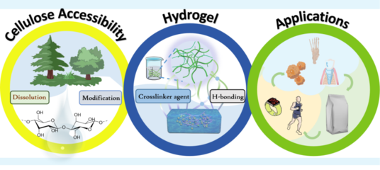 【學(xué)術(shù)進(jìn)展】新疆農(nóng)業(yè)大學(xué)李君副教授發(fā)表纖維素溶解、改性及材料調(diào)控的綜述