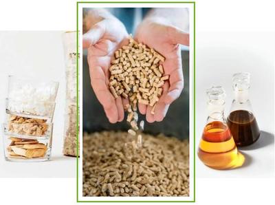 斯道拉恩索2019年業績解讀 生物質材料事業部生物基材料銷售亮點