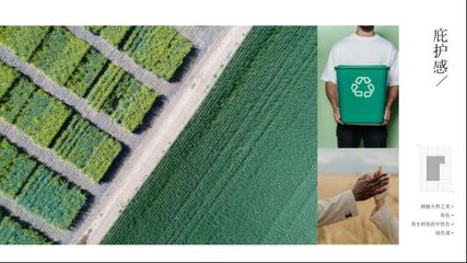 “森”生不息 圖森2023年度家居流行色趨勢概念發(fā)布與生物基材料的環(huán)保新篇